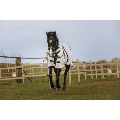 Cavalo preto com manta branca e preta em campo com cerca de madeira