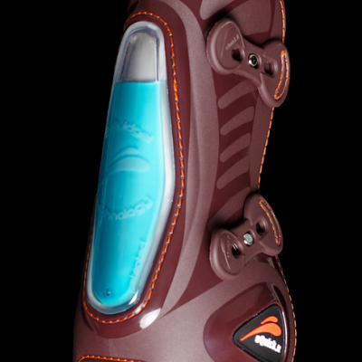 Protetor para cavalo castanho com detalhes azuis e fechos de velcro.