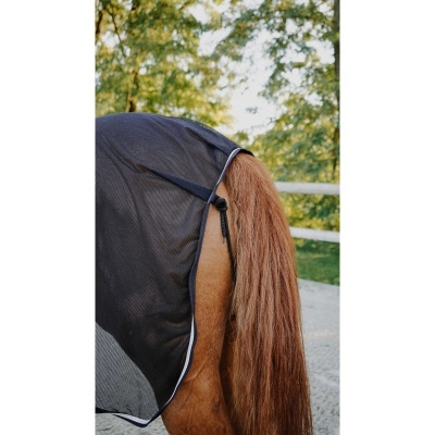 Cobertura protetora preta para cavalo com cauda castanha ao ar livre