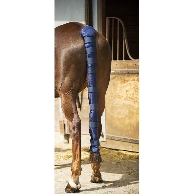 Proteção azul acolchoada na cauda de cavalo castanho num estábulo