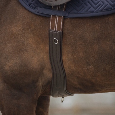 Cavalga com manta azul escura e cinta de couro castanha em cavalo castanho