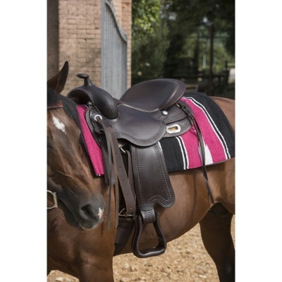 Cavalo com sela preta e manta às riscas coloridas