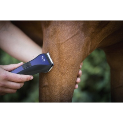 Aparelho de tosquia HAIRIE a tosquiar cavalo castanho.