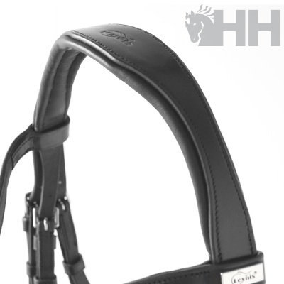 Cimitarra de equitação preta com detalhes em pele e placa metálica Lexhis