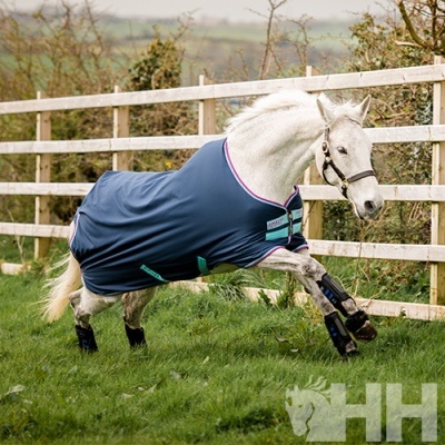 Cavalo branco com manta azul a correr em campo verde junto a cerca de madeira