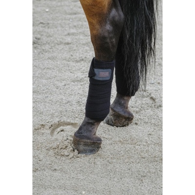 Cavalo com proteção preta na perna dianteira em solo de areia