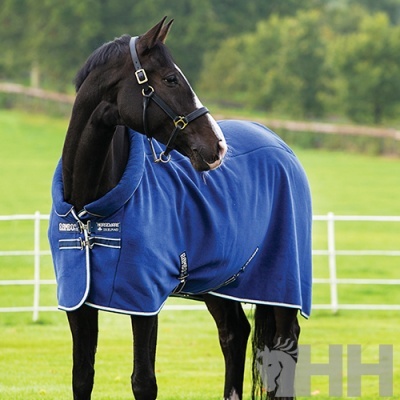 Cavalo preto com manta azul royal em campo verde com cerca branca