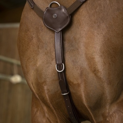 Peitoral castanho em couro no peito de cavalo castanho em estábulo