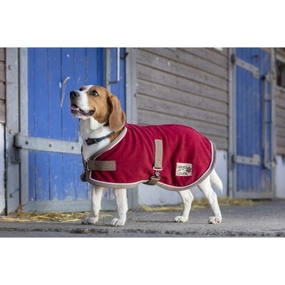 Cão com capa vermelha Dog Gone Cozy junto a portas de madeira azuis e cinzentas