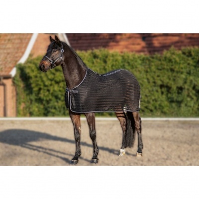 Cavalo com manta de rede preta em ambiente exterior com vegetação e edifício ao fundo