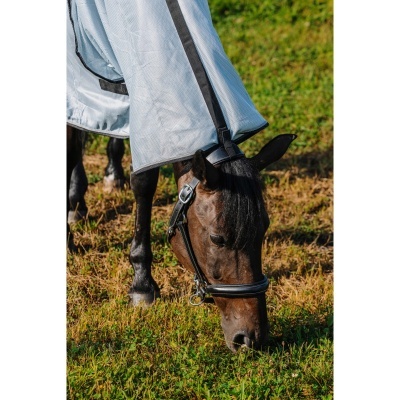 Cavalo preto com manta cinzenta a comer relva