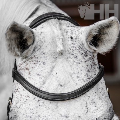 Cabeça de cavalo branco com peita de couro preto e pequena trança