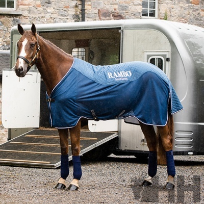 Cavalo castanho com manta azul com inscrição RAMBO junto a um atrelado prateado