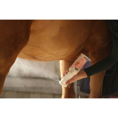 Pessoa a aplicar spray branco e rosa na perna castanha de um cavalo