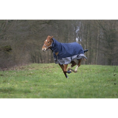 Cavalo com manta azul e cinza a correr na relva