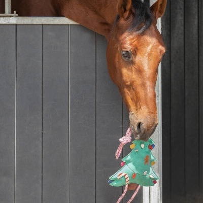 Cavalo com brinquedo de árvore de Natal dentro de estábulo