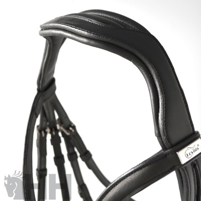 Cabeçada de montaria em pele preta com acolchoamento e etiquetas Levi's