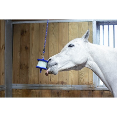 Cavalo branco lambe objeto entregando em estábulo com paredes de madeira