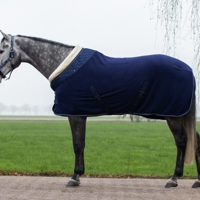 Cavalo cinzento com manta azul escura e forro bege em ambiente exterior