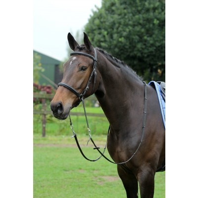 Cavalo castanho com rédeas e sela azul em relvado
