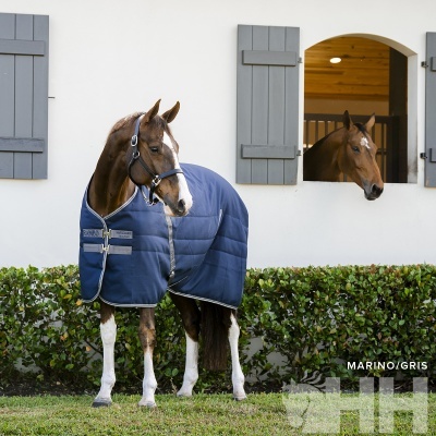 Cavalo com manta azul-marinho em frente a estábulo branco com janelas cinzentas e arbustos.