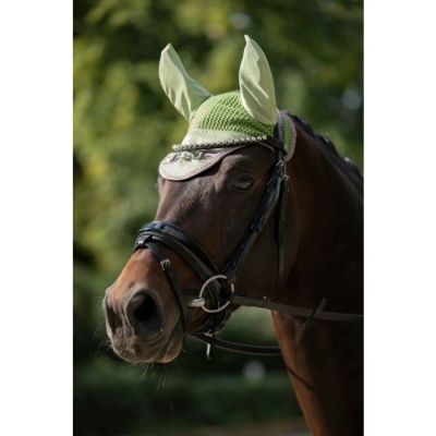 Cavalo com cabresto e touca verde com orelhas