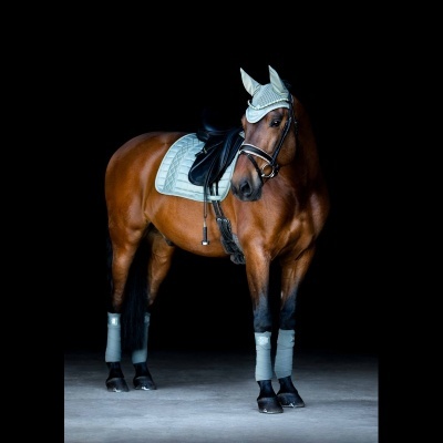 Cavalo castanho equipado com sela preta e acessórios brancos em fundo preto