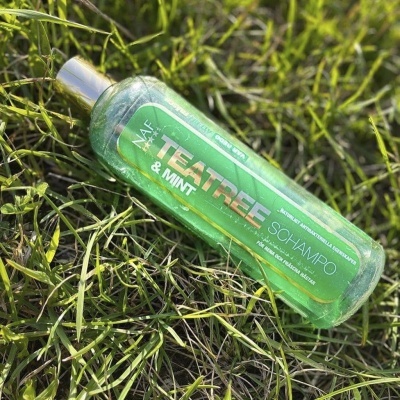 Frasco verde de champô de tea tree e menta sobre relva