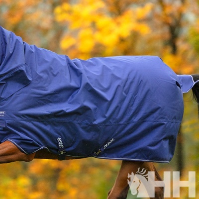 Capa impermeável azul para cavalo sobre fundo de folhagem outonal