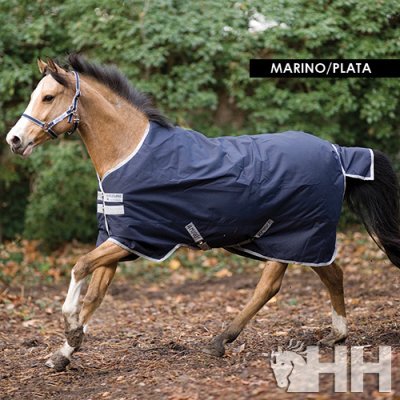 Cavalo com manta azul-marinho e prata em ambiente exterior