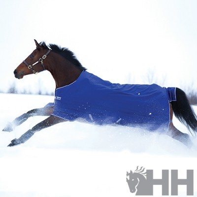 Cavalo castanho a correr na neve com manta azul HH