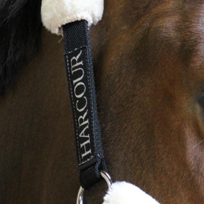 Cabresto preto com tecido branco felpudo na cabeça de cavalo castanho com marca HARCOUR