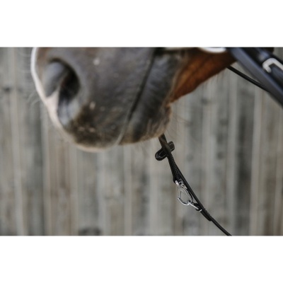 Focinho de cavalo com bridão preto e fivelas metálicas em fundo de madeira