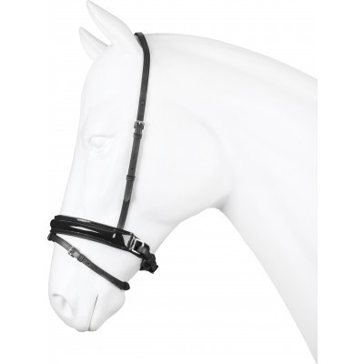 Cabeça de cavalo branco com rédea preta de couro