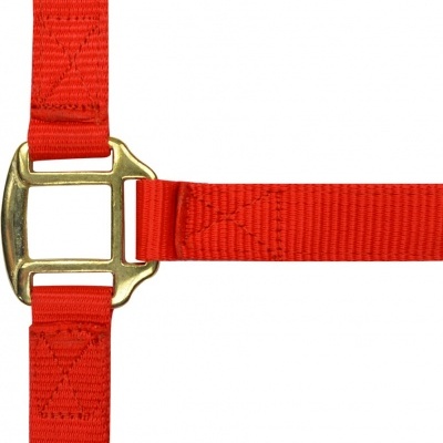 Correia ajustável vermelha com fivela dourada