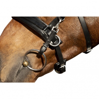 Embocadura de metal com correias de couro preto num cavalo castanho