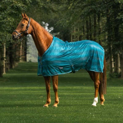 Cavalo com manta azul-turquesa em campo gramado com árvores