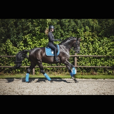 Cavalo preto com manta azul e proteção azul nas pernas, treinador vestido de preto montado em arena de areia