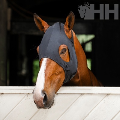 Cavalo castanho com máscara preta de tecido e portal branco