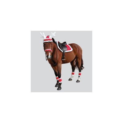 Cavalo castanho com sela preta e acessórios vermelhos e brancos, touca com chifres de rena