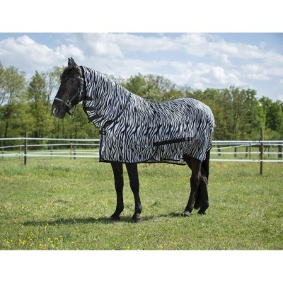 Cavalo com manta de padrão zebras preto e branco numa pastagem
