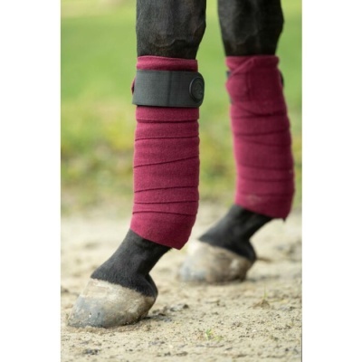 Bandagens elásticas vinho para patas de cavalo.