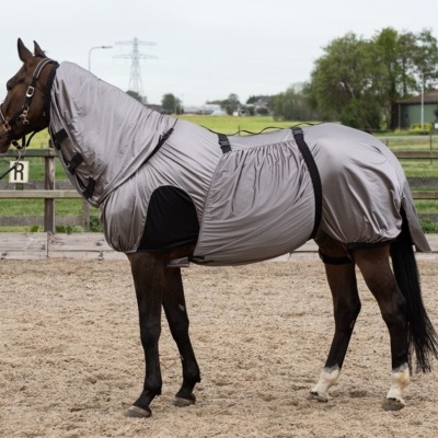 Cavalo com roupa cinza prateada completa em pista de areia