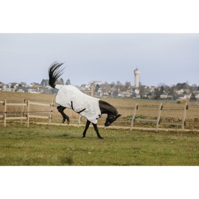 Cavalo preto com manta branca a saltar numa área gramada com vedação de madeira e casas ao fundo