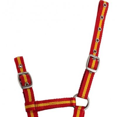 Cabresto para animal vermelho com riscas amarelas e fivelas metálicas