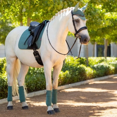 Cavalo branco com equipamento de equitação verde-azulado e preto