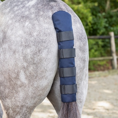 Proteção azul com tiras pretas na cauda de um cavalo cinzento no exterior