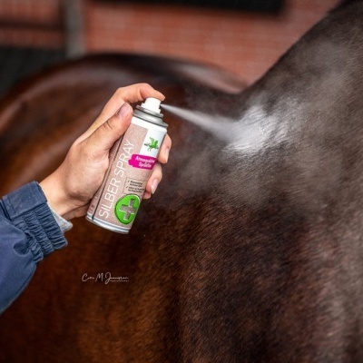 Spray SILBER SPRAY sendo aplicado no pelo de um cavalo castanho escuro