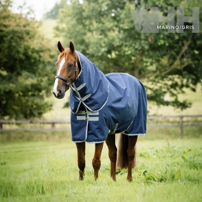 Cavalo castanho coberto por manta azul marinho com detalhes cinzentos e fitas com texto, em campo verde com cerca e árvores ao fundo