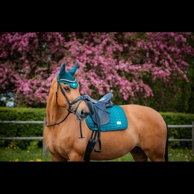 Cavalo com sela e proteção auricular azuis ao ar livre com árvores floridas